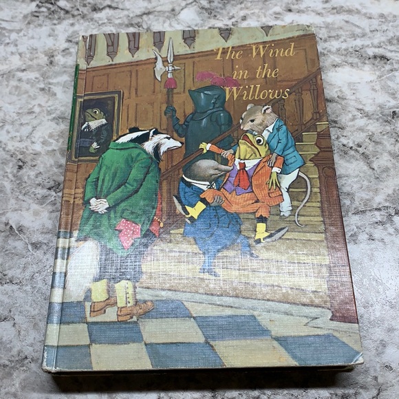 Chapter book - Picture 2 of 7